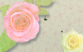 水彩玫瑰花朵电视机背景墙