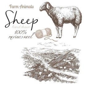 手绘素描山羊矢量设计素材