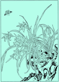 兰花线描 兰花白描 兰花蝴蝶
