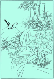 洋兰线描 洋兰白描 洋兰素描