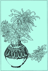 菊花线描 菊花白描 菊花素描