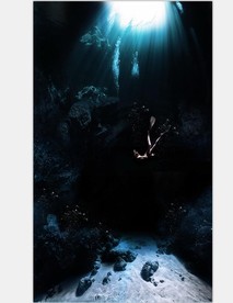 3D海底世界玄关背景墙壁画