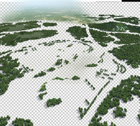 公园丛林绿化素材