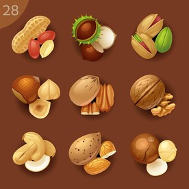 坚果类美食素材