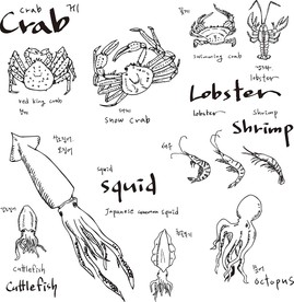 海鲜美食素描素材