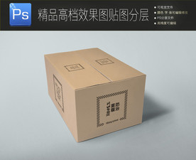 牛皮纸箱包装样机