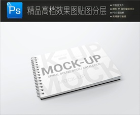 通用高档画册封面一键贴图