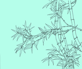 竹子线描 竹子白描 竹子素描