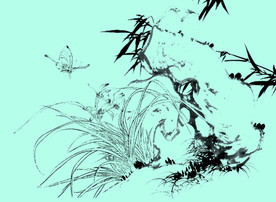 兰花线描 兰花白描 兰花素描