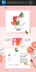 夏季甜蜜水果网页设计psd模板