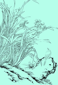 兰花线描 兰花白描 兰花素描