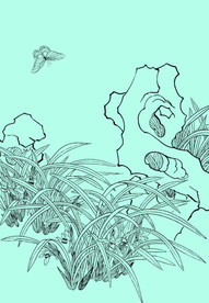 兰花线描 兰花白描 兰花素描