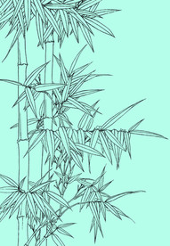 竹子线描 竹子白描 竹子素描