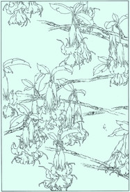 曼陀罗线描 曼陀罗白描 曼陀罗