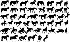 马剪影动物黑影马匹各种动作图