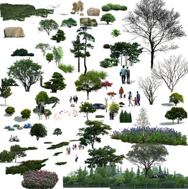 园林风景树植物图集