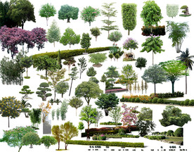 城市规划设计绿化素材