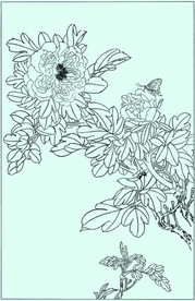 牡丹花线描 牡丹花白描 牡丹花
