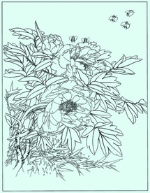 牡丹花线描 牡丹花白描 牡丹花