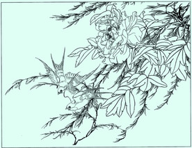 牡丹花线描 牡丹花白描 牡丹花