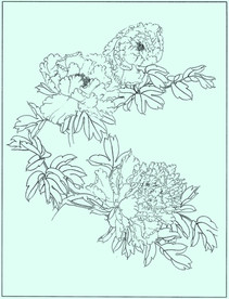 牡丹花线描 牡丹花白描 牡丹花