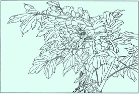 牡丹花线描 牡丹花白描 牡丹花