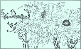 牡丹花线描 牡丹花白描 牡丹花
