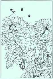 牡丹花线描 牡丹花白描 牡丹花