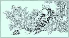 牡丹花线描 牡丹花白描 牡丹花