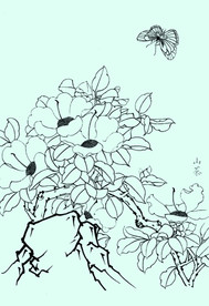 山茶线描 山茶白描 山茶素描