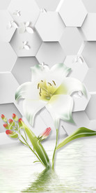 3D立体六边形花卉玄关装饰画