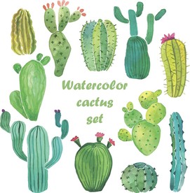 仙人掌矢量素材