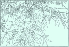 竹子线描 竹子白描 竹子素描