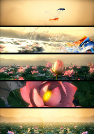 超宽屏水墨3D金鱼荷花动态视频