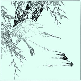 白鹭线描 白鹭白描 白鹭素描