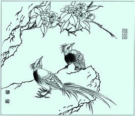 凤头雀线描 凤头雀白描 凤头雀
