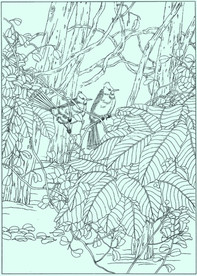 黑喉红臀鹎线描 黑喉红臀鹎白描