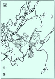 黑喉红臀鹎线描 黑喉红臀鹎白描