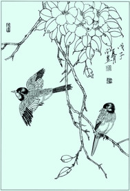 蓝鹡鸰线描 蓝鹡鸰白描 蓝鹡鸰