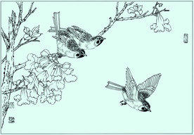 麻雀线描 麻雀白描 麻雀素描