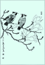 太平鸟线描 太平鸟白描 太平鸟