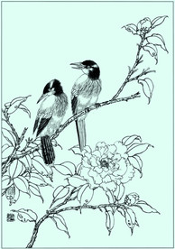 幽谷鸣禽 线描 白描 素描