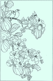 紫荆花双雀线描 紫荆花双雀白描