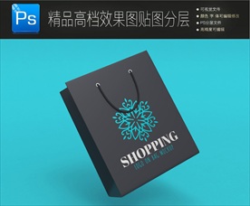炫酷高端手提袋样机图片