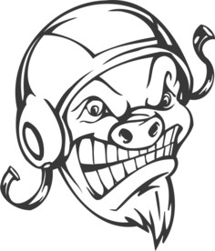 这是个什么球 是球人