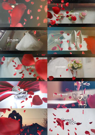 玫瑰花瓣过渡的婚礼预告开场模板