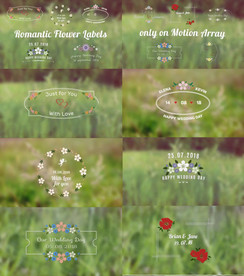 甜美小花浪漫婚礼标签AE源文件