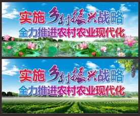 实施乡村振兴战略