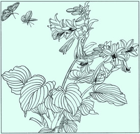 花鸟线描 花鸟白描 花鸟素描