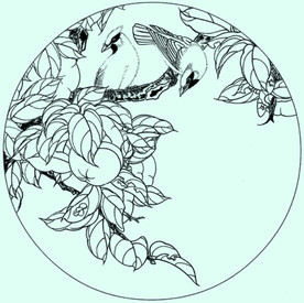 花鸟线描 花鸟白描 花鸟素描